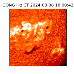 gong - 2024-08-08T16:00:42