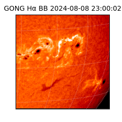 gong - 2024-08-08T23:00:02
