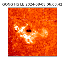 gong - 2024-08-08T06:00:42