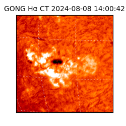 gong - 2024-08-08T14:00:42