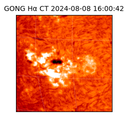 gong - 2024-08-08T16:00:42