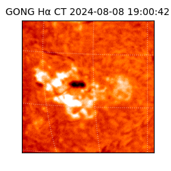 gong - 2024-08-08T19:00:42