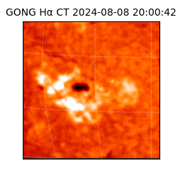 gong - 2024-08-08T20:00:42