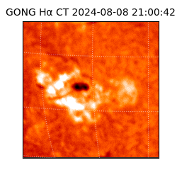 gong - 2024-08-08T21:00:42