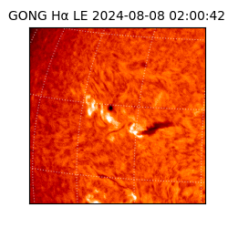 gong - 2024-08-08T02:00:42