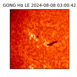 gong - 2024-08-08T03:00:42