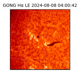 gong - 2024-08-08T04:00:42