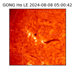 gong - 2024-08-08T05:00:42