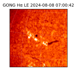 gong - 2024-08-08T07:00:42