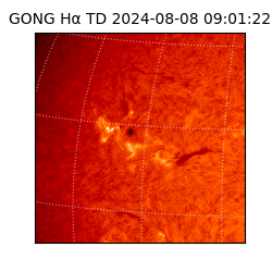 gong - 2024-08-08T09:01:22