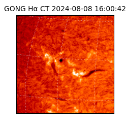 gong - 2024-08-08T16:00:42