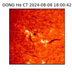 gong - 2024-08-08T18:00:42