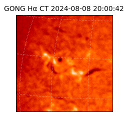 gong - 2024-08-08T20:00:42