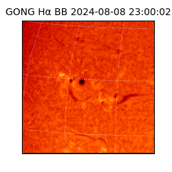 gong - 2024-08-08T23:00:02