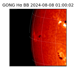 gong - 2024-08-08T01:00:02