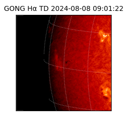 gong - 2024-08-08T09:01:22