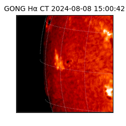 gong - 2024-08-08T15:00:42