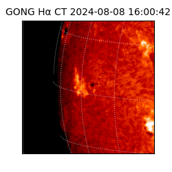 gong - 2024-08-08T16:00:42