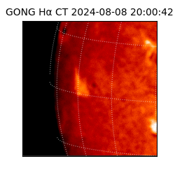 gong - 2024-08-08T20:00:42