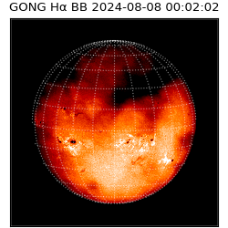 gong - 2024-08-08T00:02:02