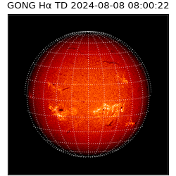 gong - 2024-08-08T08:00:22