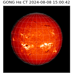 gong - 2024-08-08T15:00:42