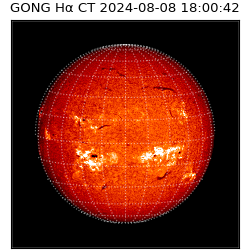 gong - 2024-08-08T18:00:42