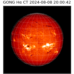 gong - 2024-08-08T20:00:42