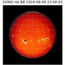 gong - 2024-08-08T23:00:02