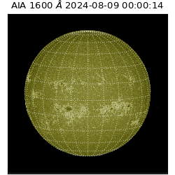 saia - 2024-08-09T00:00:14.126000