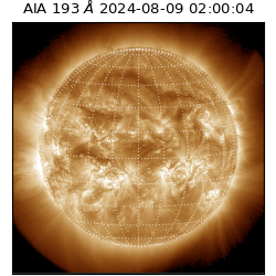 saia - 2024-08-09T02:00:04.843000