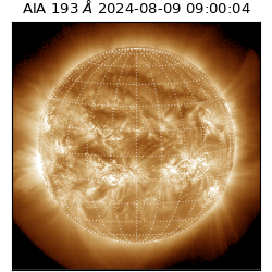 saia - 2024-08-09T09:00:04.838000