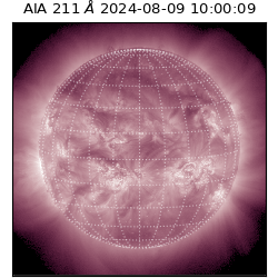 saia - 2024-08-09T10:00:09.630000