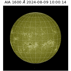 saia - 2024-08-09T10:00:14.126000