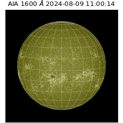 saia - 2024-08-09T11:00:14.126000