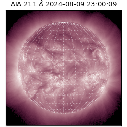 saia - 2024-08-09T23:00:09.623000