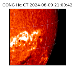 gong - 2024-08-09T21:00:42