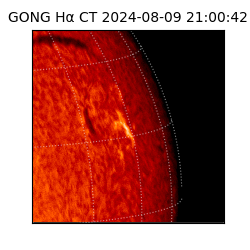 gong - 2024-08-09T21:00:42