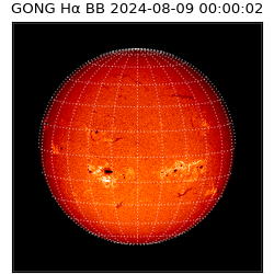 gong - 2024-08-09T00:00:02