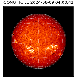 gong - 2024-08-09T04:00:42