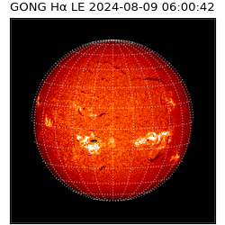 gong - 2024-08-09T06:00:42