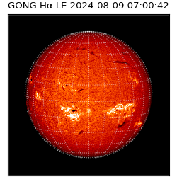 gong - 2024-08-09T07:00:42