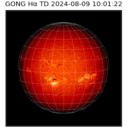 gong - 2024-08-09T10:01:22