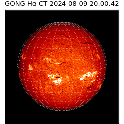 gong - 2024-08-09T20:00:42