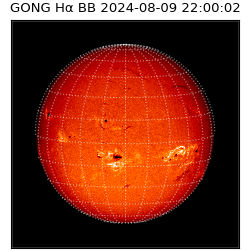 gong - 2024-08-09T22:00:02