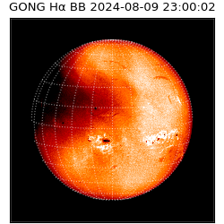 gong - 2024-08-09T23:00:02
