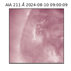 saia - 2024-08-10T09:00:09.618000