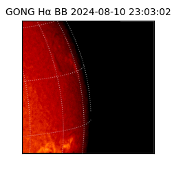 gong - 2024-08-10T23:03:02