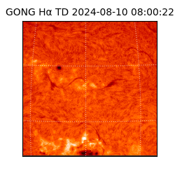 gong - 2024-08-10T08:00:22