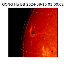 gong - 2024-08-10T01:00:02